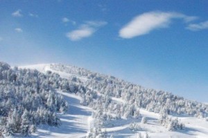 aux-angles-dans-les-pyrenees-orientales-on-relevait-ce_1475630_460x306